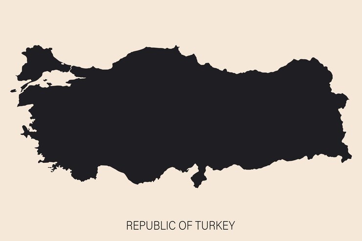 Vector highly detailed turkey map with borders isolated on background flat style