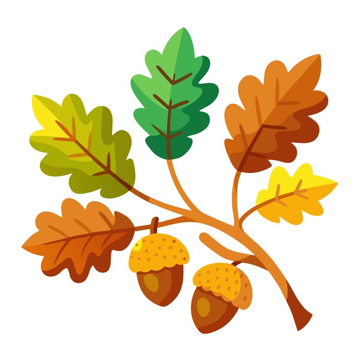 Vector highquality vector illustration creative amp professional designs