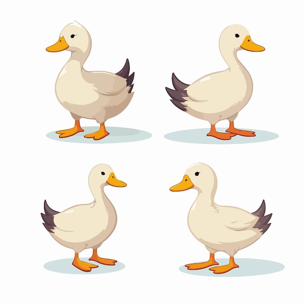Vector highquality vector illustrations of ducks suitable for print and digital media