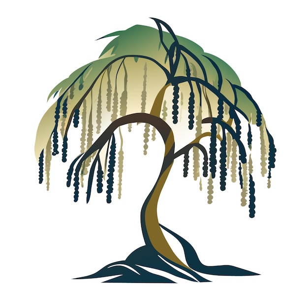 Vector highresolution vector of an isolated willow tree in flat style