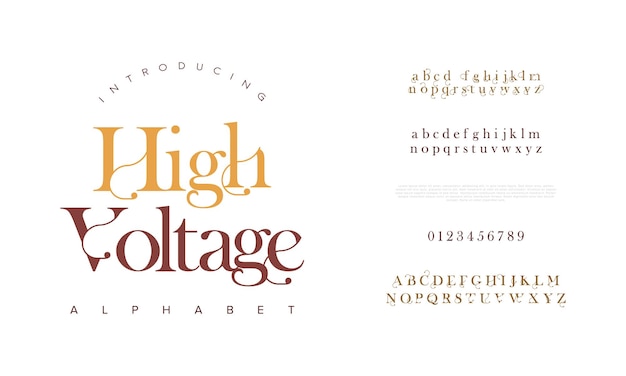 Highvoltage premium luxury elegant alphabet letters and numbers Elegant wedding typography classic