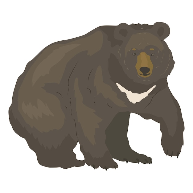 Himalaya-beer met karakteristieke witte strepen Het grootste roofdier van het bos Wild dier in het natuurpark Vectorillustratie in platte stijl