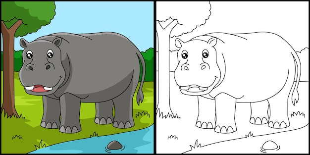 Hippo coloring page colored illustration