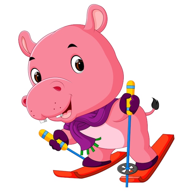 Hippo playing skiing