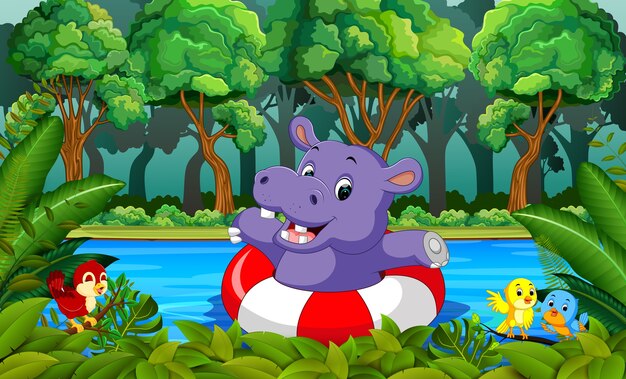 Hippo swimming in the river