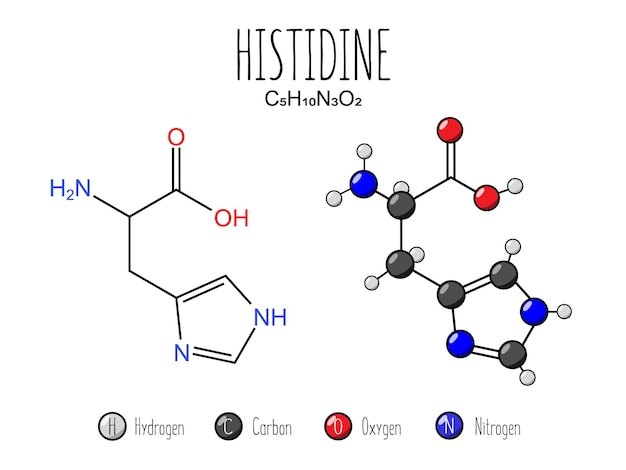 Histidine-aminozuurweergave