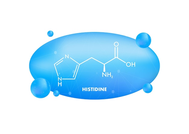 Histidine lhistidine his H amino acid molecule Vector illustration