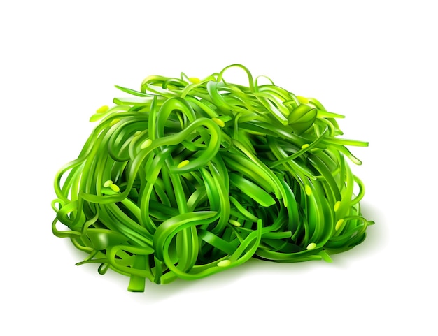 Hiyashi Wakame seaweed salad with sesame seeds realistic 3d vector illustration Green fresh