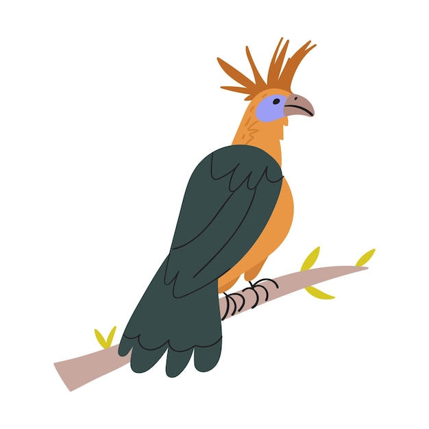 Hoatzin 새가 나뭇가지에 앉아 있습니다. 손으로 그린 평면 벡터 일러스트 레이 션.