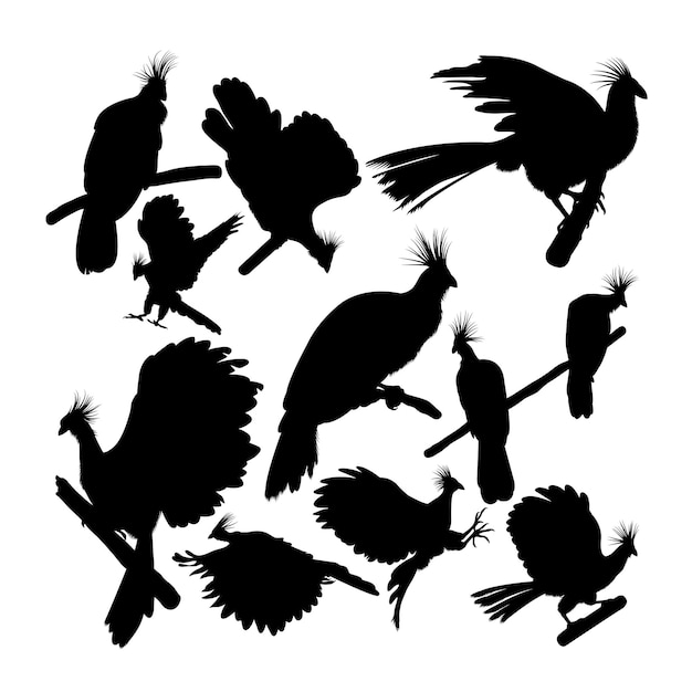 Hoatzin vogel silhouetten