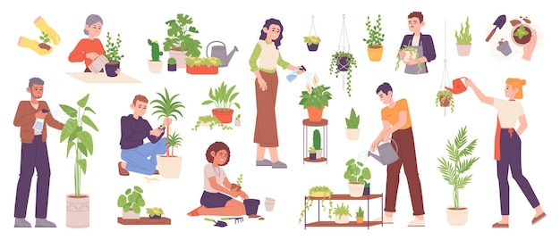 취미 성장 Houseplants 사람 심기 및 돌보는 정원 식물 또는 화분 가정 원예 개념 농장 새싹 스프레이 잎 화려한 벡터 일러스트 레이 션에 Houseplant 성장