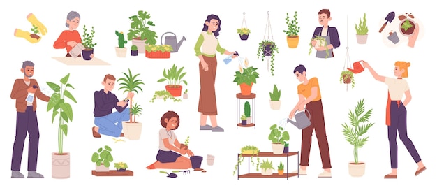 Hobby growing houseplants Person planting and caring garden plant or grow houseplant in flowerpot home horticulture concept farm sprout spray leafage garish vector illustration