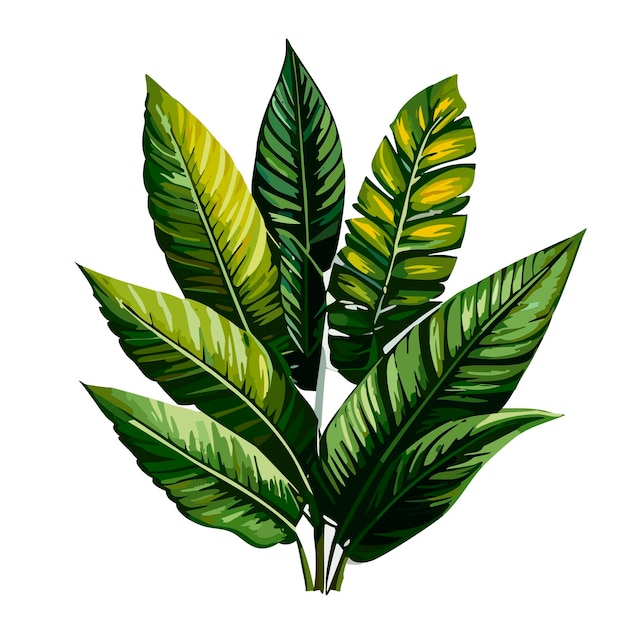Vettore hojas planta verde tropicale