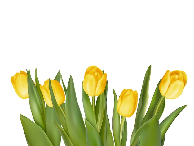 Holiday background with bouquet of yellow tulips. 