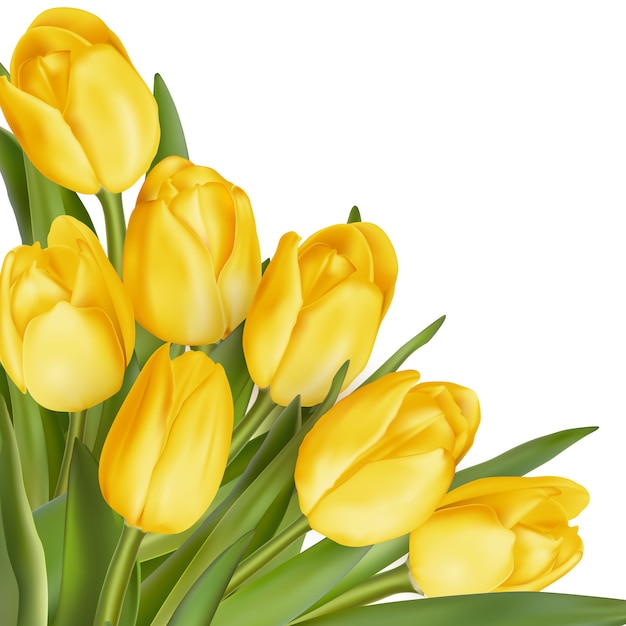 Holiday background with bouquet of yellow tulips. 