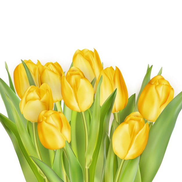 Holiday background with bouquet of yellow tulips. 