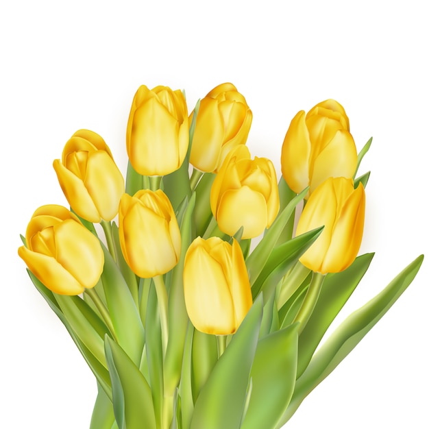 Holiday background with bouquet of yellow tulips. 