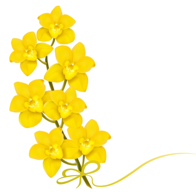 Holiday yellow flowers background vector