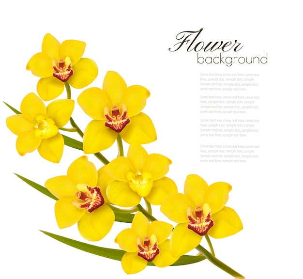 Holiday yellow flowers background. 