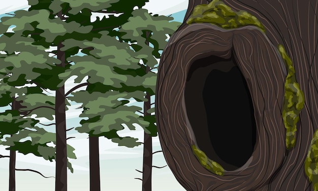 A hollow in an old mossy tree pine forest realistic vector landscape