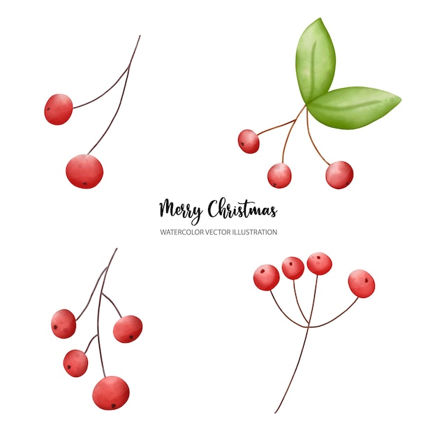 Holly berries Christmas watercolor set of bouquet arranging Watercolor Vector illustrationxDxA