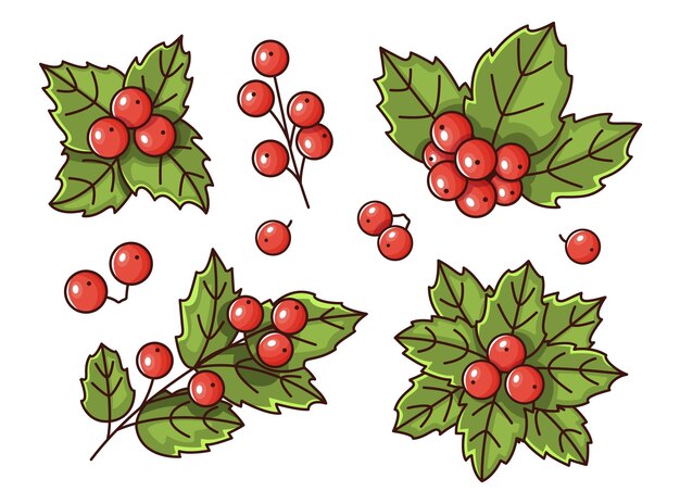 holly berry christmas vector set winter plant fruits on a white background