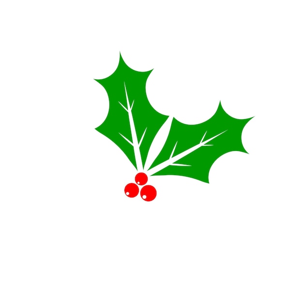 Holly berry icoon Christmas mistletoe grafisch ontwerp sjabloon Xmas symbool vector illustratie