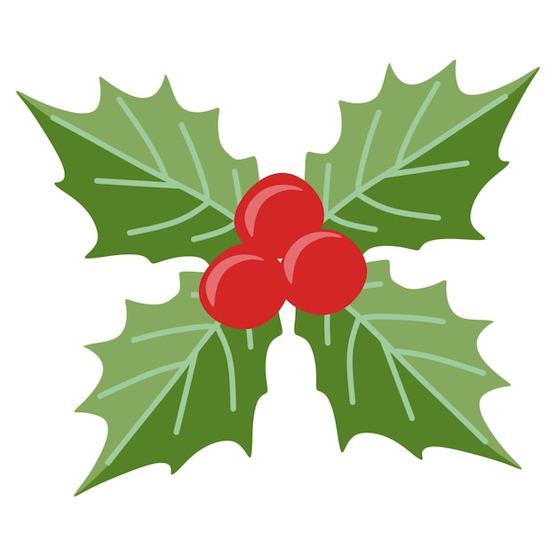 ヒイラギの果実と葉のクリスマス シンボル ベクトル フラット植物学のイラスト漫画スタイルの季節の 12 月の休日の装飾はがきステッカー バナー カードのカラー テンプレート