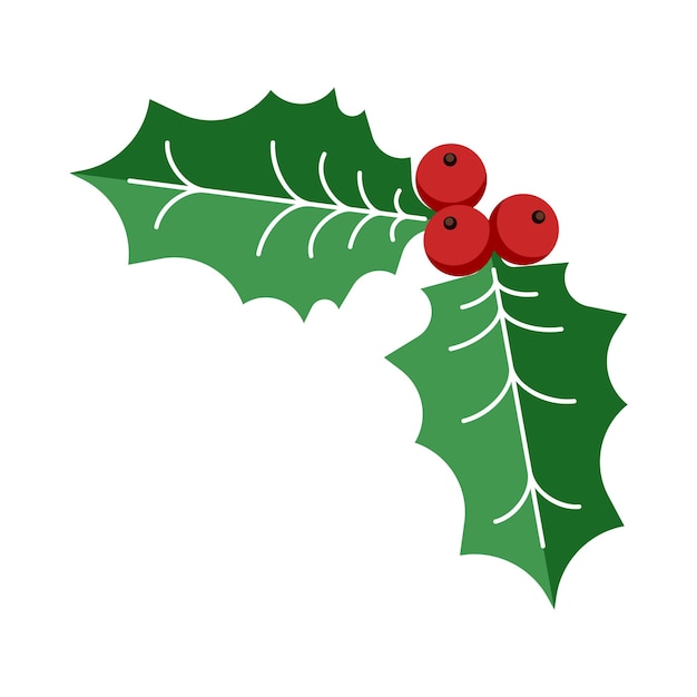 Vector holly berry leaves icon. traditional christmas decoration element for logo, emblem, sticker, print, greeting and invitation card design and decoration