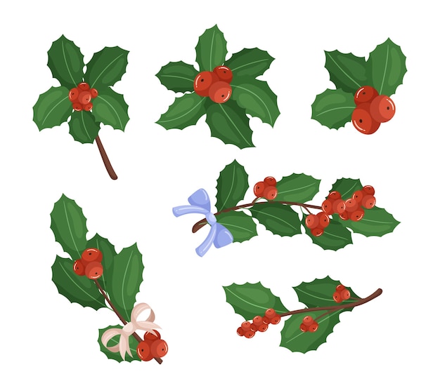 Holly berry set is a festive holiday collection featuring red and green holly berry branches with leaves and ribbons perfect for adding a touch of christmas cheer cartoon vector illustration icons