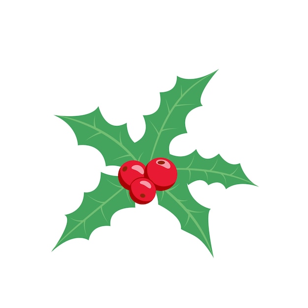 Holly Christmas holly leaves and berries Flat cartoon vector