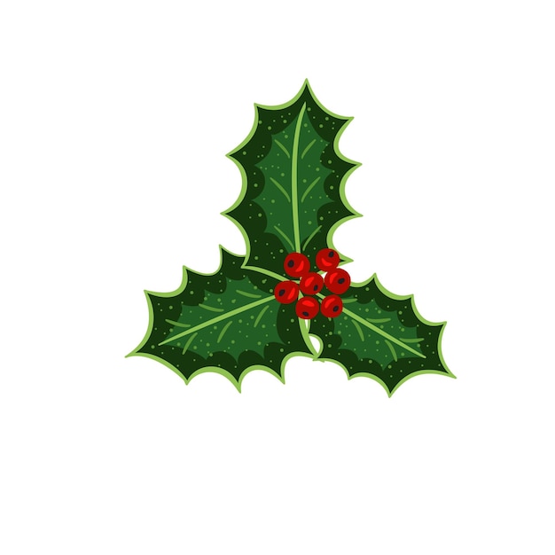 Vector holly leaves berries set color2