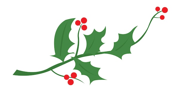 Vector holly leaves or chirtmas decoration