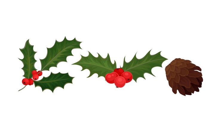 Vector holly specie twig with red berries and fir cone vector set