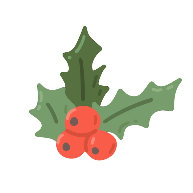 Holly with berries Christmas plant vector flat illustration on white background