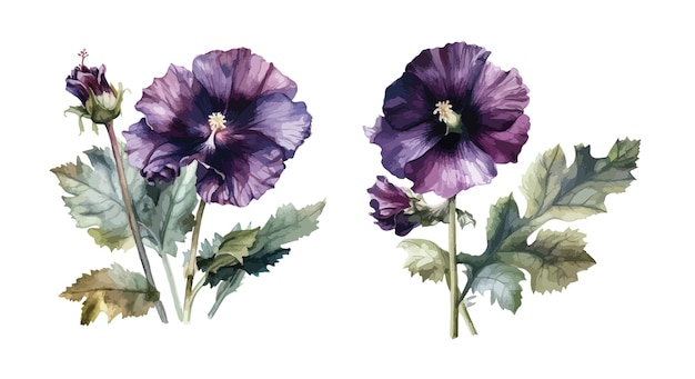 Vector hollyhock flower clipart isolated vector illustration