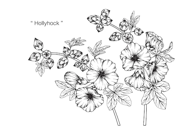 Hollyhock flower