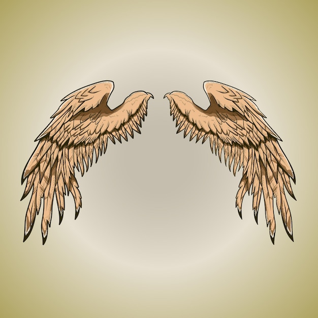 Vector holy gold angel wing feather legendary bird vector illustration artwork