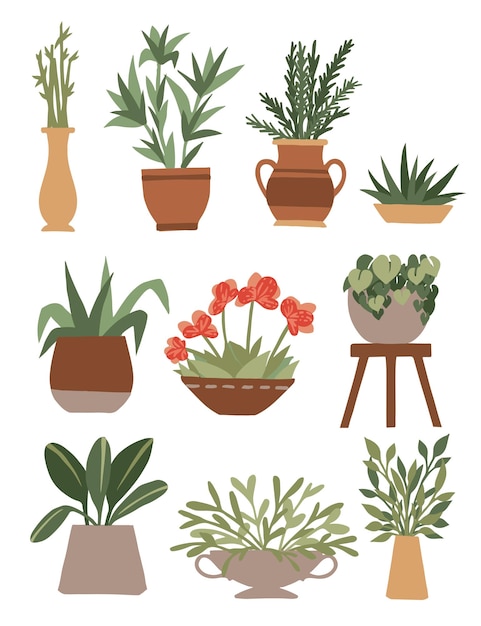 Vector home decorative and outdoor garden plants in pots set green plants flat vector illustration isolated on white background