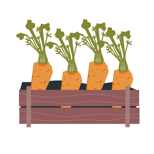 Овощи домашнего сада, растущие с морковью, растущей в горшках с плоским вектором
