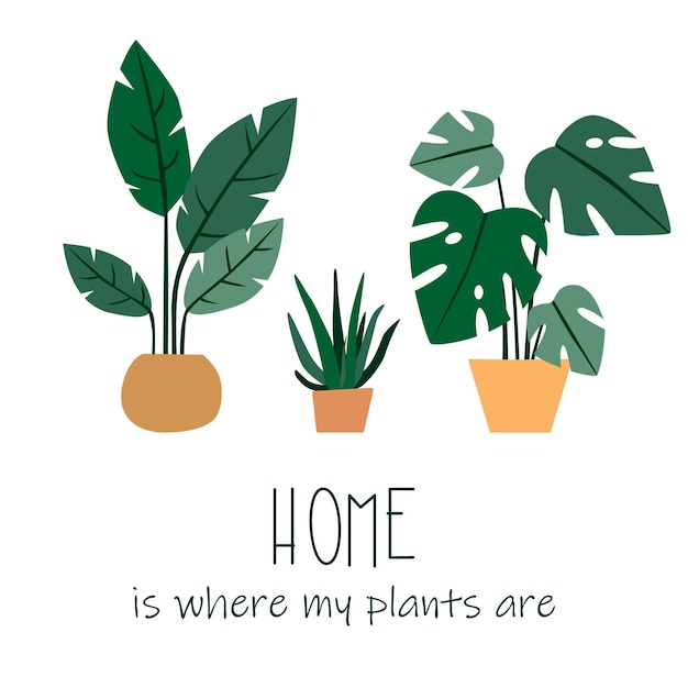 Vector home is war your plants are illustratie van huisplanten in potten geïsoleerd op witte achtergrond