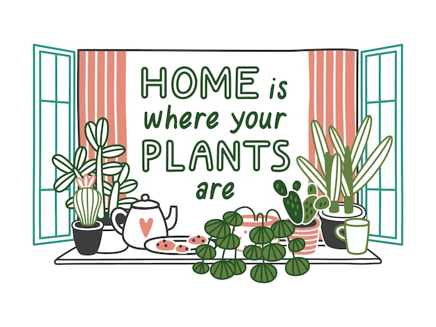 Home is where your plants are. house plants in pots on windowsill.