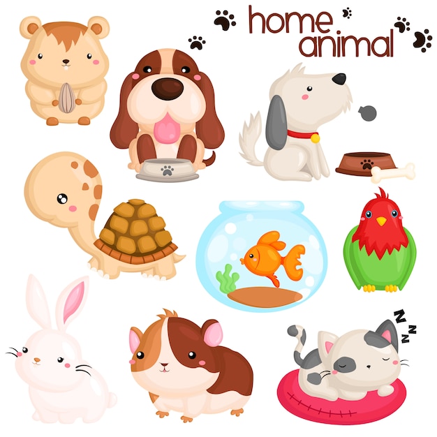 Home Pet Animals