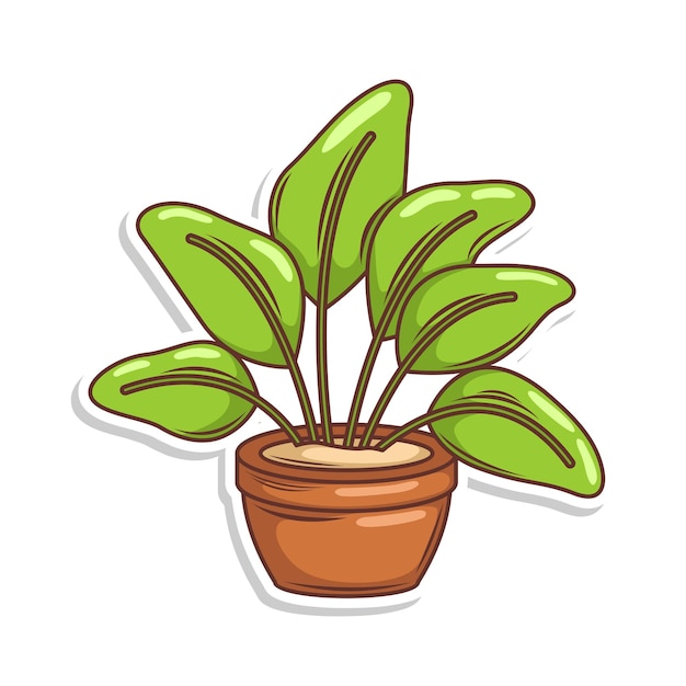 Home plant cartoon style potted plant isolated on white