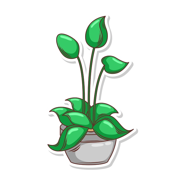 Home plant cartoon style potted plant isolated on white