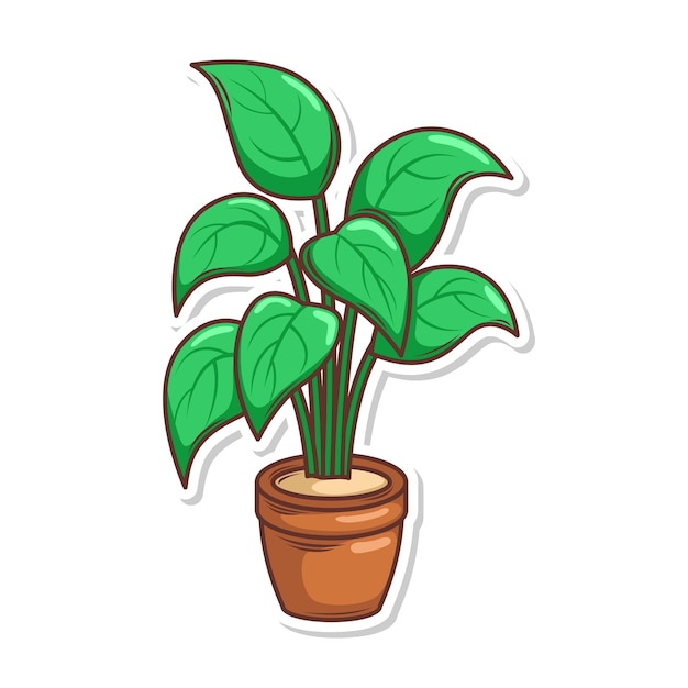 Home plant cartoon style potted plant isolated on white