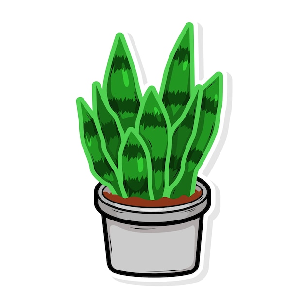 Home plant cartoon style potted plant isolated on white