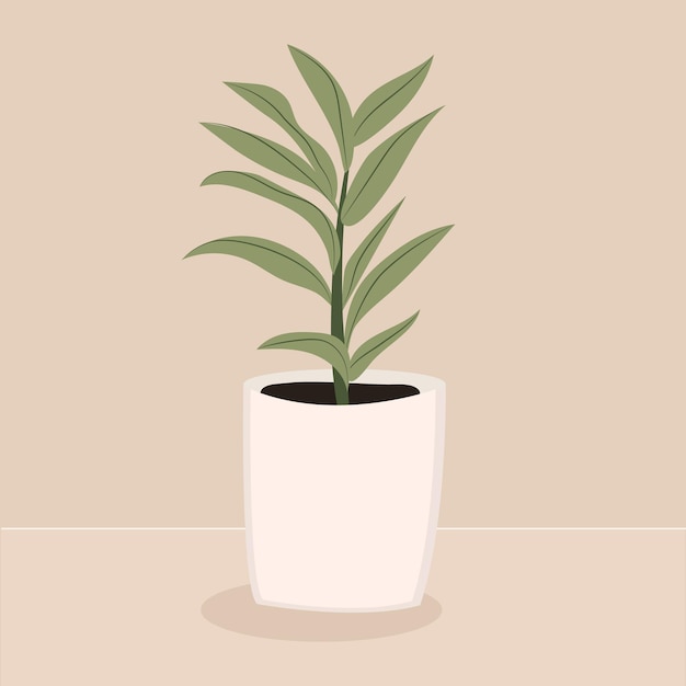 Домашнее растение Драцена Современный элегантный домашний декор Векторная иллюстрация изолирована на бежевом фоне