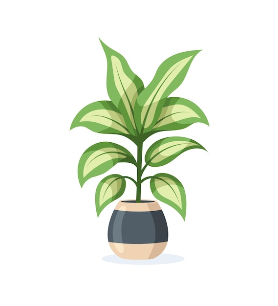 Home plant in flower pot isolated on white background in flat style