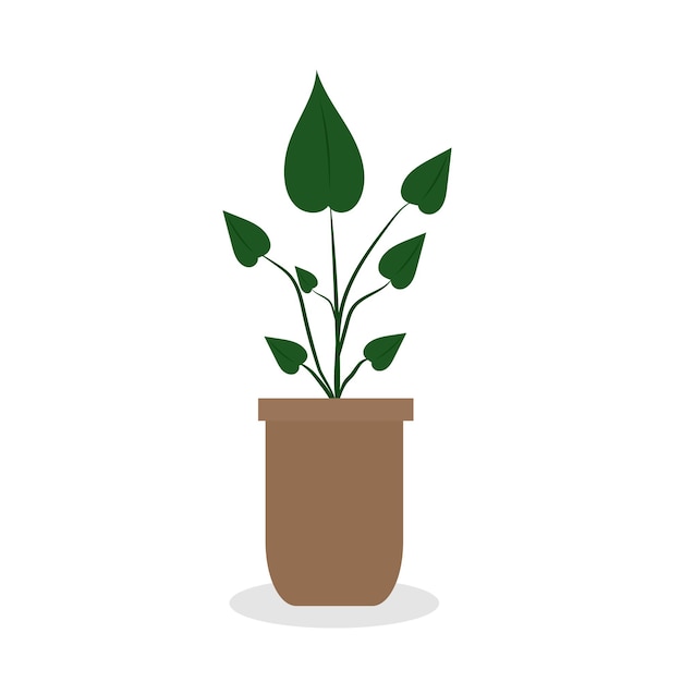 Vector home plant in pot cute flat cartoon illustration